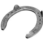 SC Eventer Hind Clipped 